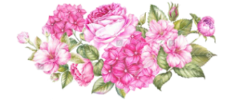 розы розовые (19) (336x143, 91Kb)