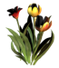 Цветы в PNG