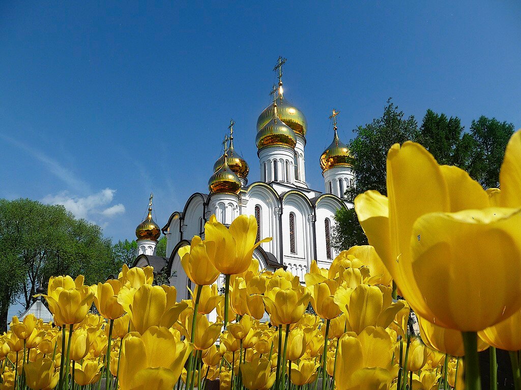 Весна и храм