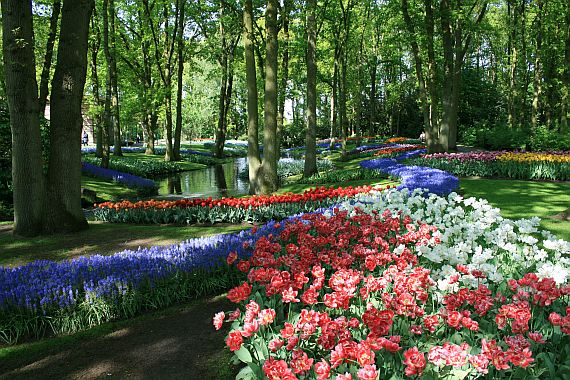 Парк в Нидерландах
